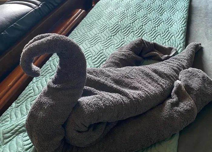 Spacious, Rustic Space For 2 Persons Vakantiehuis